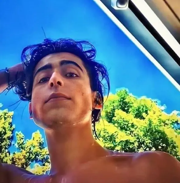 Aidan Gallagher Shirtless