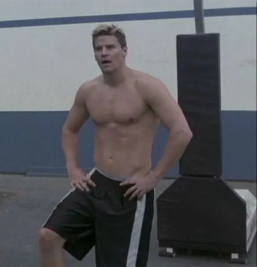 David Boreanaz Shirtless 5 David Boreanaz Shirtless 5
