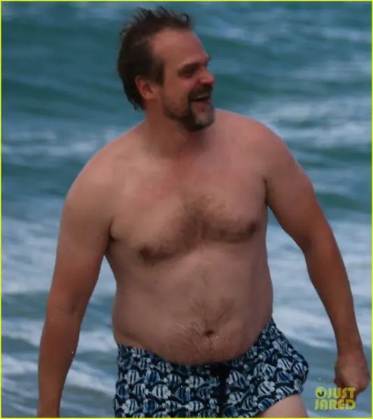 David Harbour Shirtless 2