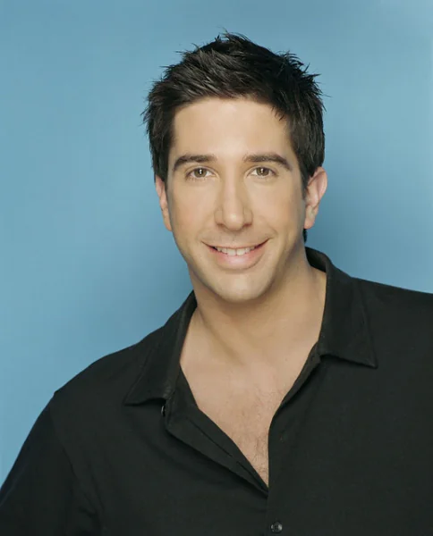 David Schwimmer Shirtless 4