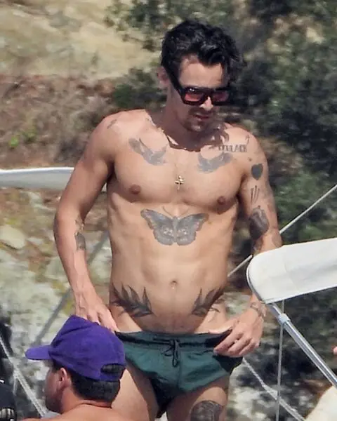 Harry Styles Shirtless 2