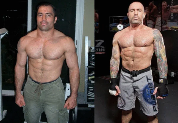 Joe Rogan Shirtless Joe Rogan Shirtless