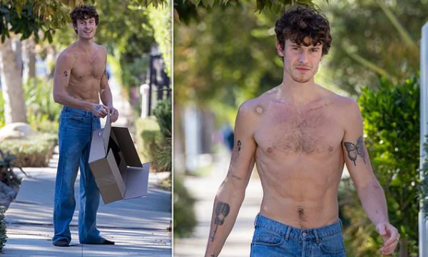 Shawn Mendes Shirtless 3 Shawn Mendes Shirtless 3
