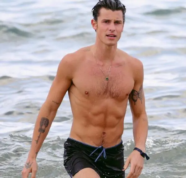 Shawn Mendes Shirtless 7 Shawn Mendes Shirtless 7