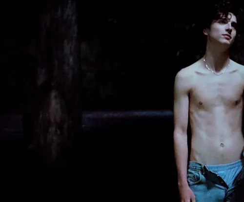 Timothée Chalamet Shirtless 4
