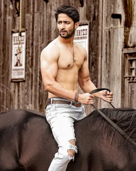 Shaheer Sheikh Shirtless 3 Shaheer Sheikh Shirtless 3
