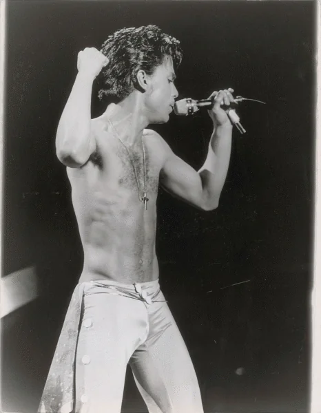 Prince Shirtless 2 Prince Shirtless 2