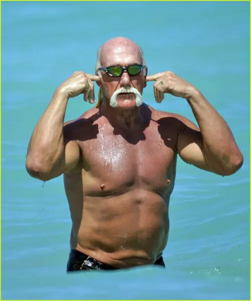 Hulk Hogan Shirtless