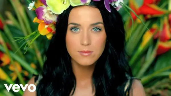 Katy Perry Family 4