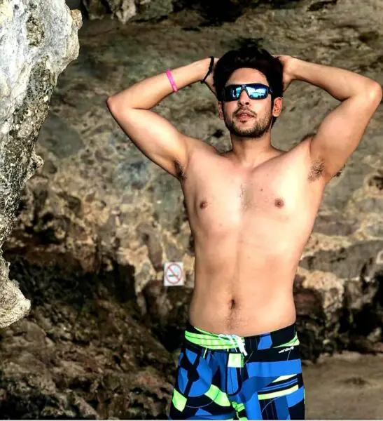 Shivin Narang Shirtless 2