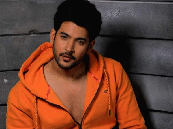 Shivin Narang Shirtless 3