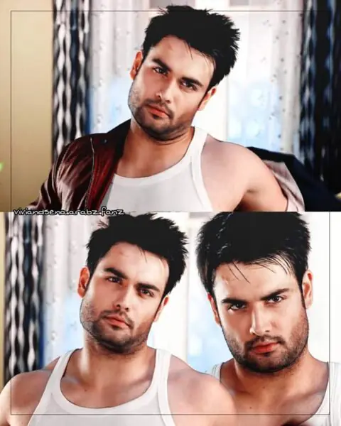 Vivian Dsena Shirtless