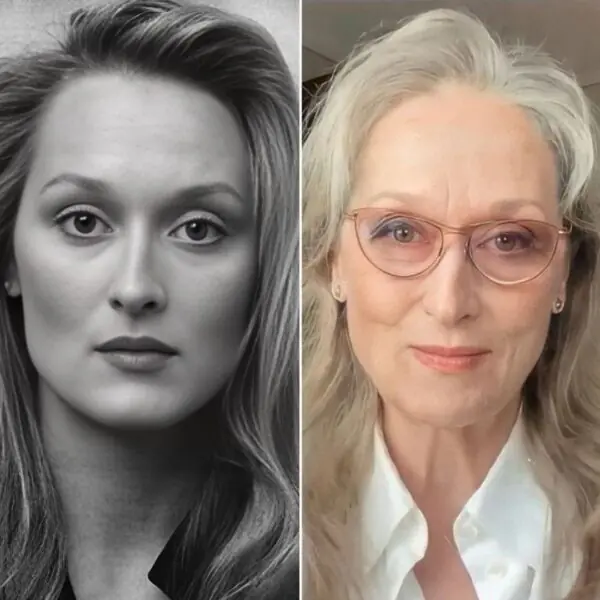 Meryl Streep Family 5
