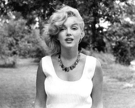 Marilyn Monroe Family 5 Marilyn Monroe Family 5
