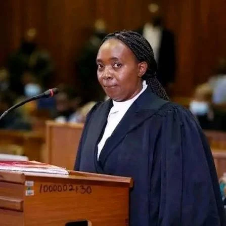 Advocate Mshololo Family