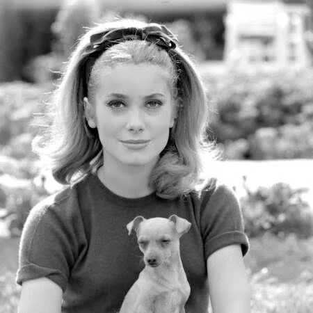 Catherine Deneuve Family 3