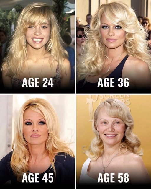 Pamela Anderson Family Pamela Anderson Family